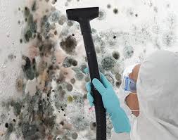 Best Air Quality Testing for Mold Spores  in Stanley, WI